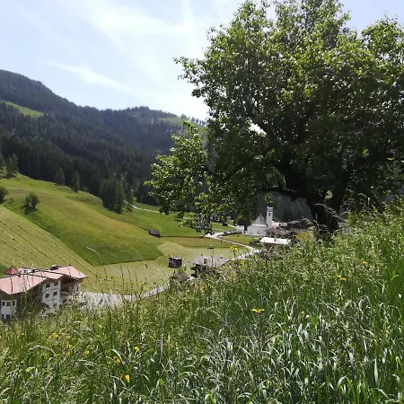 Hutte 