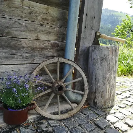Apartment Hutte 